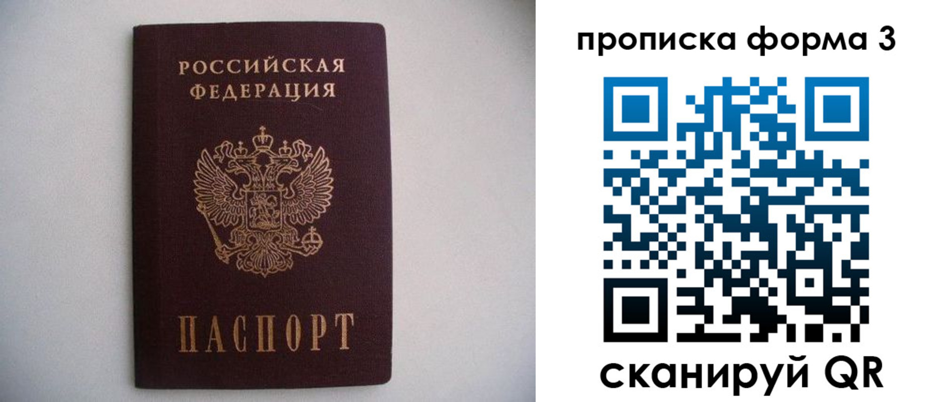 прописка в Людиново